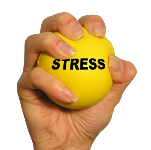 Physiotherapy hand exercise ball/stress relief ball price in Kenya.