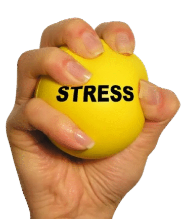 Physiotherapy hand exercise ball/stress relief ball price in Kenya.